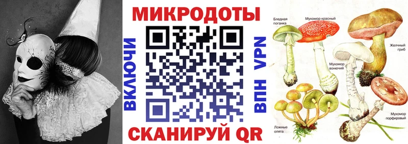 Псилоцибиновые грибы Psilocybe  Шацк 